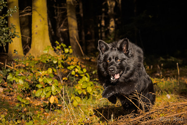 med_Weg da!.jpg (600 x 400)